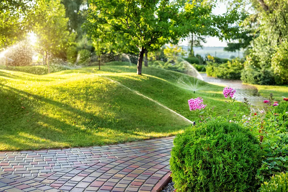Automatic garden watering system with different sprinklers installed under turf to comply with Austin water restrictions and irrigation guidelines