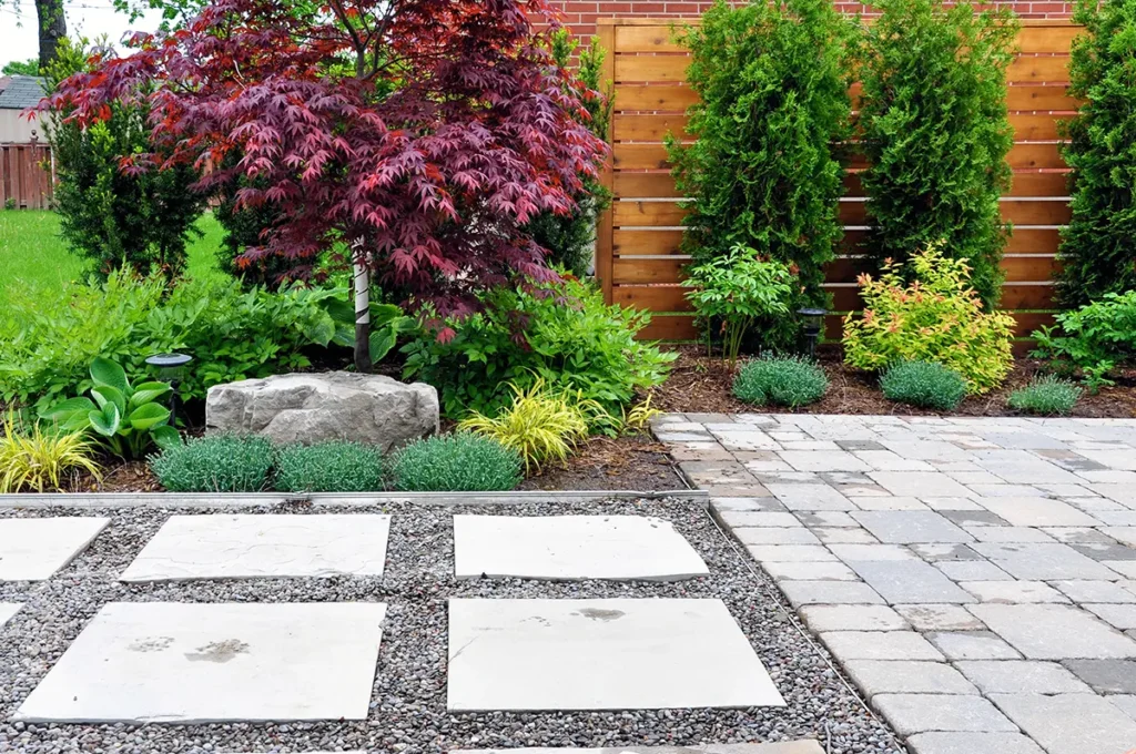 Detail of a modern patio, with walkway, Japanese maple, and horizontal cedar fence in an urban backyard.