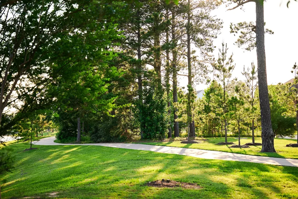 a green lawn in the foreground with a path and mature trees in the background