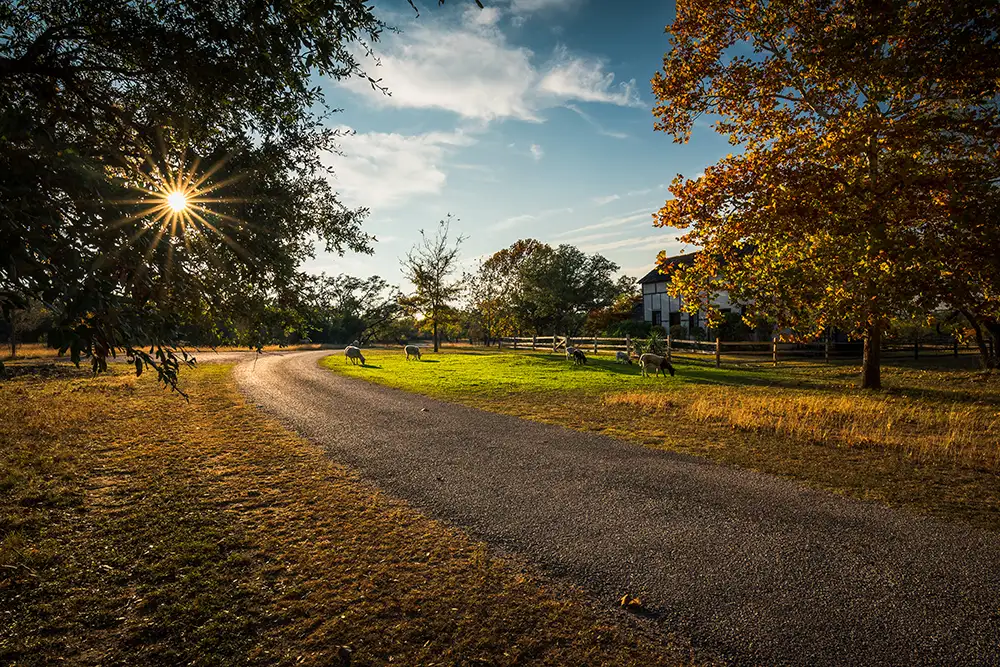 farm road in autumn