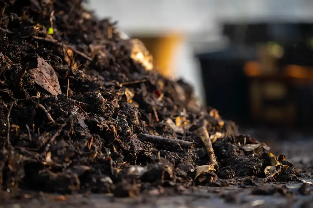 Compost pile