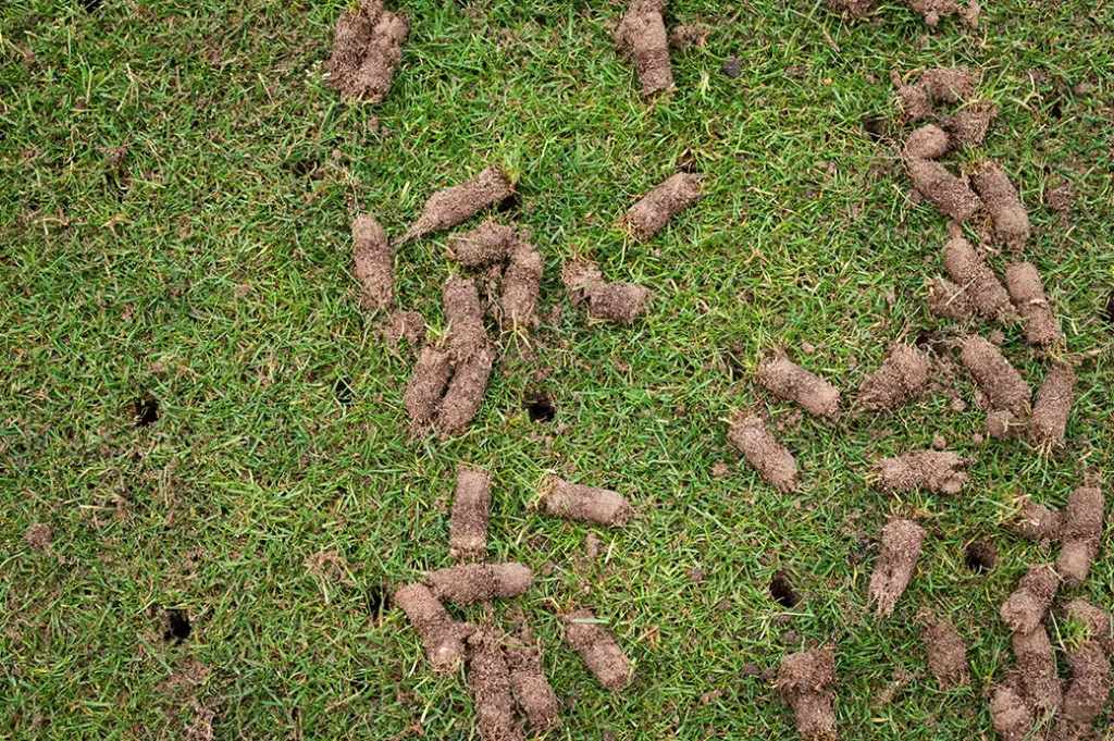 part of Fall lawn care is aeration to compacted soil