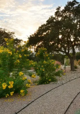 xeriscape-05